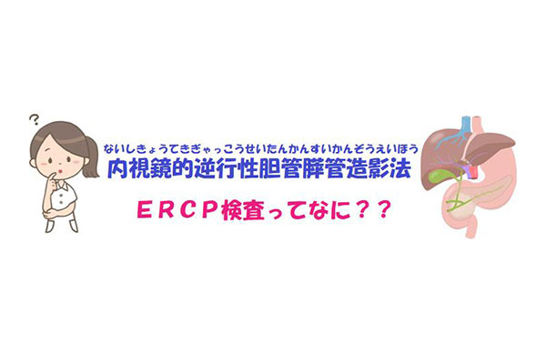 Ercp検査ってなに 心臓弁膜症 手術 みどり病院 神戸市西区